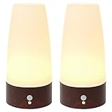 プロテック LEDライト 人感 明暗 センサーライト 【ブラウン 2個セット】 テーブルライト 足元ライト 自動点灯 電池式 屋内 階段 玄関 廊下 寝室 PLASL-16-2