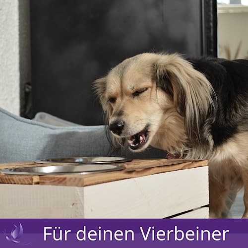 CHICCIE Futterstation Personalisierte Gravur - Zwei Näpfe Futternapf Wassernapf