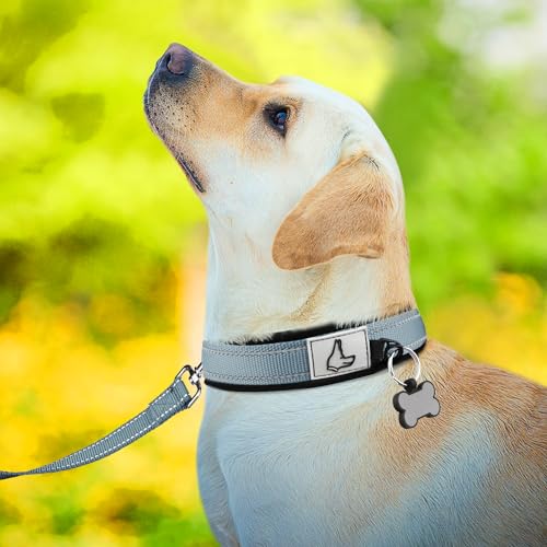 Joytale Halsband Hund, Weich Hundehalsband Gepolstert Neopren Hunde Halsband für Kleine Hunde, Nylon Reflektierend Breit Halsbänder, Grau