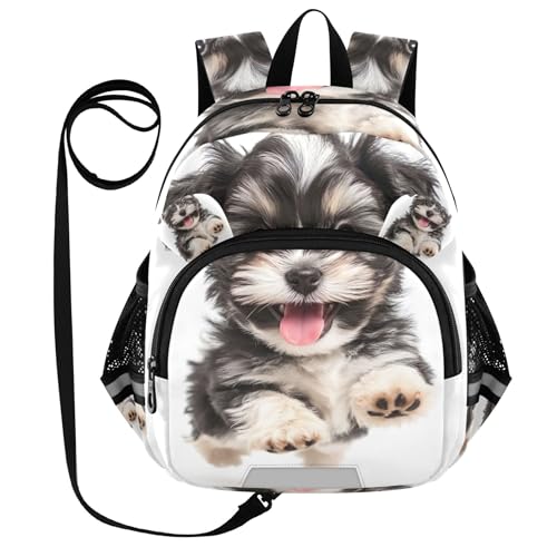 Joisal Mochila infantil fofa para crianças engraçadas meninas meninos mochila para escola Happy Black White Havanese Puppy P 7L, Happy Black White Havanese Puppy, Medium
