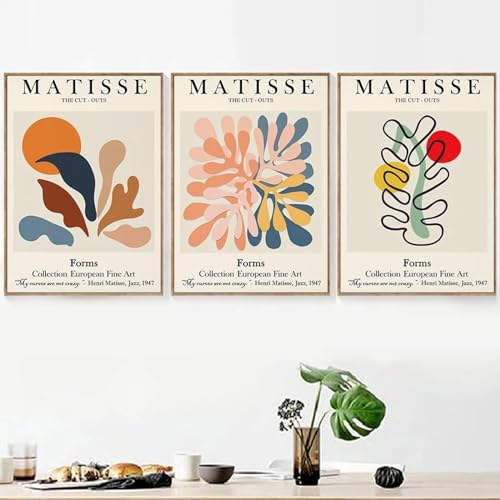 Matisse affiche murale 30x45cm lot de 3 toiles d'art abstrait moderne sans cadre