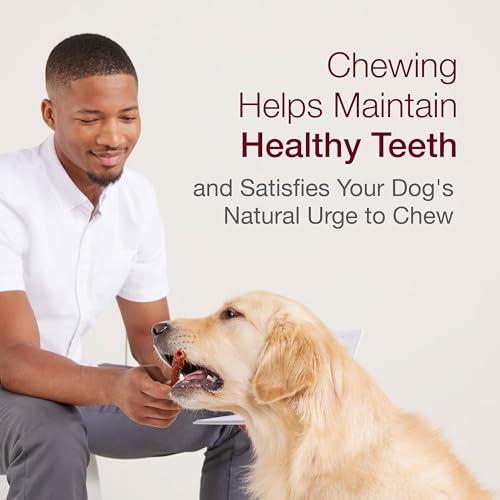 SmartBones SmartSticks, Treat Your Dog to a Rawhide-Free Chew Made With Real Meat and Vegetables 25 Count (Pack of 1)