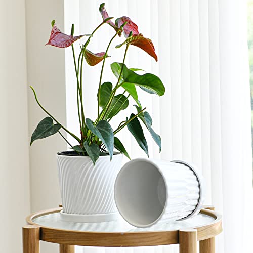 Plant Pots,White 6 Inch Flower Pots For Plants,Ceramic Planter With Drainage Holes,Indoor Planter Pots With Saucer,Outdoor Garden Pots (White, 4 Pack) #TOP5