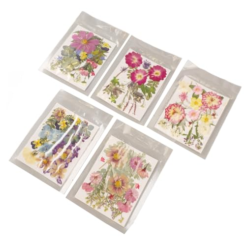 Kit Flores Presionadas 5 Bolsas Variadas para Manualidades miniatura 1