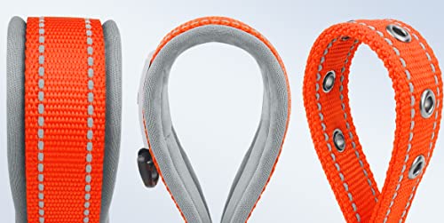 Dynmeow Dog Collar,Double Layer Reflective Thick Nylon Built,Neoprene Padded,Soft And Breathable,11 Colors And 4 Sizes For Small Medium Large And Extra-Large Breeds Dogs (Orange Large Pack Of 1) #TOP3
