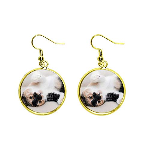 Earring Jewelry Mujer pendientes colgantes dorados de gato animal para vestir
