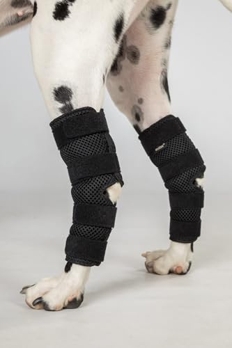 Support pour chien Back on Track USA orthopédique pour animaux - 3