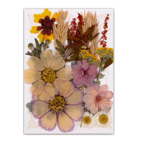 XNbvubLÔ߂̎RȃvXhCt[[tWG[tHgt[dbP[XubN}[NEFfBOt[AWg