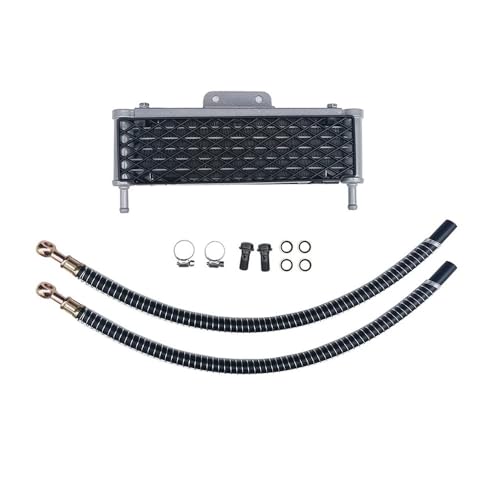 Radiateur huile moto 140cc 150cc 160cc refroidisseur Pit Bike Apollo