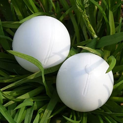 Balacoo 60 Pcs Plastic Stop Induced Bird White Quaker Diy Simulated Dummy Racing Play Food Mm For Incubation Decorative To Geese Small Eggs Simulation Birds Water Mm* Supplies Cockatiel #TOP5