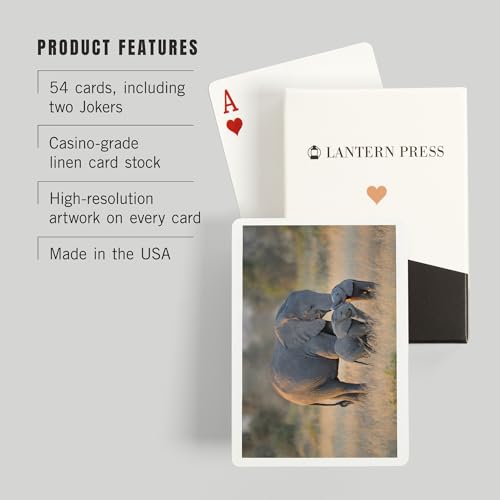 Baraja de Póker 52 Cartas Lantern Press miniatura 3