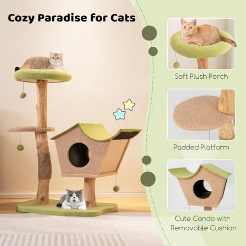 Árbol para Gatos de Madera Multi-niveles 43 Pulgadas miniatura 5