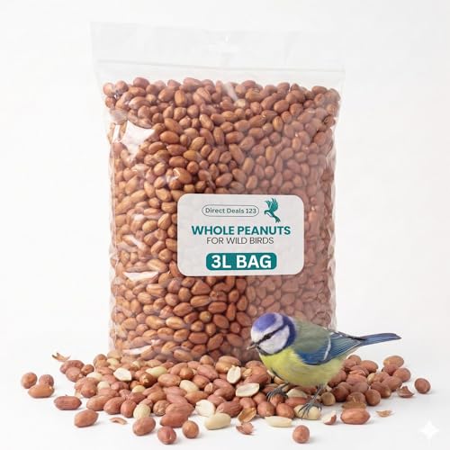 (3L Bag) Whole Peanuts for Wild Birds Food 100% Natural Ingredients High Energy Nuts for Garden Birds No Additives All Season Feeding Healthy and Protein Rich Peanuts for Outdoor Feed