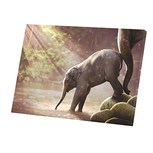 Tableau Éléphant Maman et Bébé Toile Imprimée Idée Cadeau Naissance 42x30