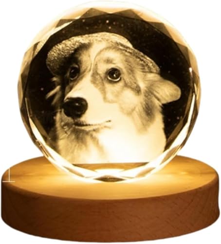 JuxkovyI[_[Chzʐ^ KX tHgt[  3DNX^ ʐ^X^h p  LOi  Mtg Ԃ Ƒ ybg j oYj a LO ̓ ̓ v[g