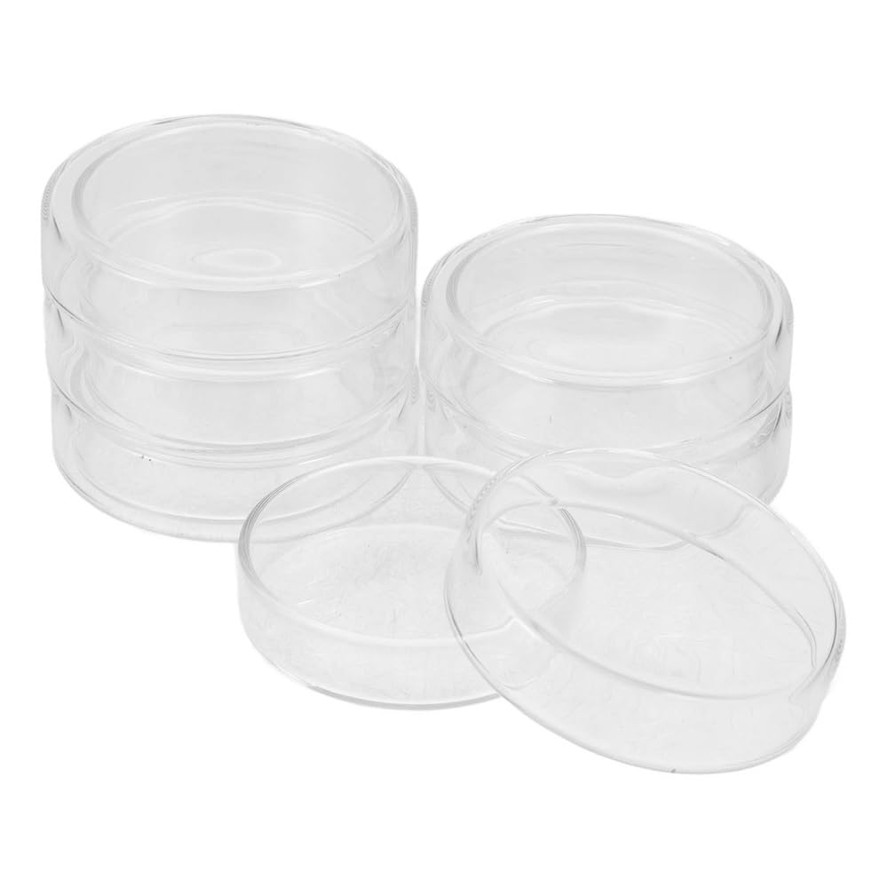 Support pour boîtes de Petri en verre lot de 6 pour laboratoire