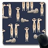 wachhund kaufen england Perfekte Geburtstagsgeschenke für Computer Tägliche Büroarbeit, Heimspiele, auch ein schönes Geschenk für Ihre Familie, Freund, Mitarbeiter, Liebhaber ...
