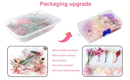 2 Box Real Natural Dried Flowers for Resin Molds, Mini Dried Flower Bouquet, Pressed Flowers for Candles Jewelry Crafts Scrapbooking Decoration