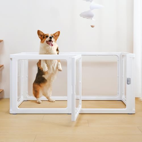 Citylife 6-TLG Welpenauslauf 60cm hoch, Hundelaufstall faltbar mit Tür, Hundegehege Wohnung, XXL Laufgitter für Hunde, Katzen, Kaninchen, Kleintiere, rutschfest, Transparent