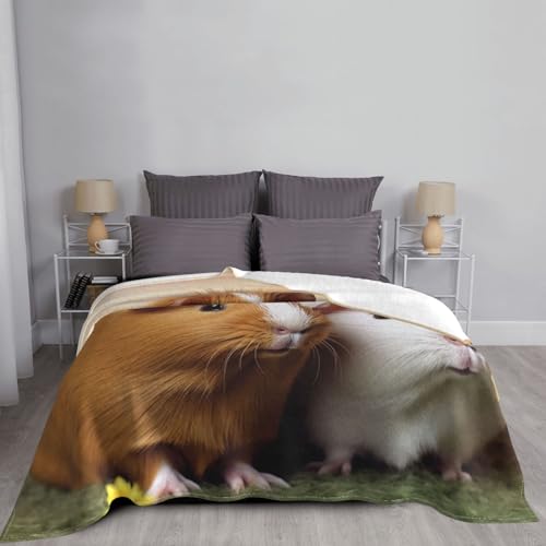 Couverture douce cochon d'Inde : cadeau parfait en microfibre