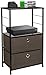 Sorbus Nightstand 2-Drawer Shelf Storage - Bedside Furniture & End Table Chest Dresser with Steel Frame, Wood Top & Easy Pull Fabric Bins for Home, Bedroom, Closets, Bathroom, Office & College Dorm