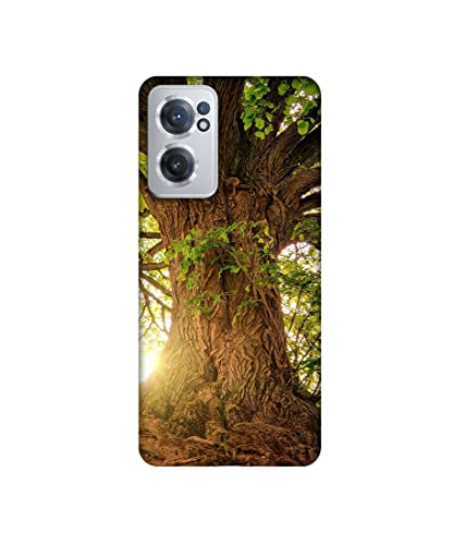 Image of Amazon Brand-Solimo Basic Case for OnePlus Nord 2 CE 5G (Plastic Multicolor)