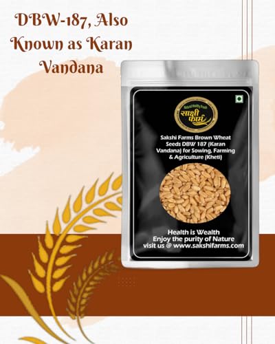 Image of Sakshi Farms Brown Wheat Seeds Pusa Karan Vandana (DBW 187) for Sowing, Farming & Agriculture (Kheti खेती) | Pure Pusa Karan Vandana (DBW 187) Wheat Seeds Gehu Ka Bheej | 20 KG