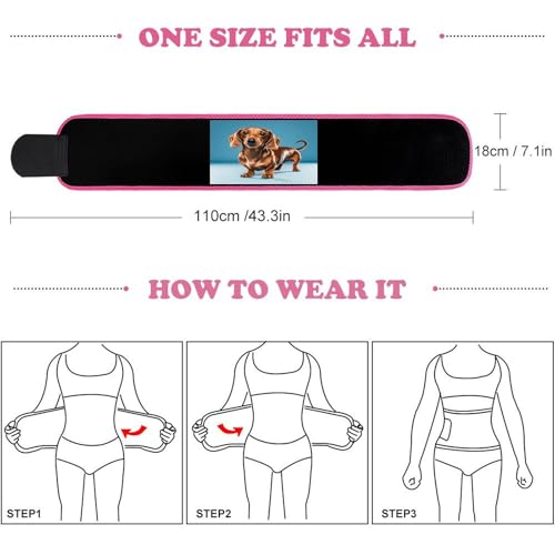 Cinturilla para cintura con diseño de Dachshund para entrenamiento miniatura 2