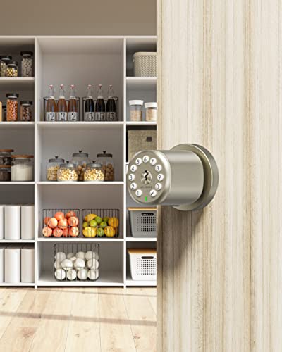 Holomarq Door Knob With Keypad For Interior Combination Bedroom Door Lock 4 Aa Alkaline Batteries Keyless Electronic Digital Coded Door Knob Sequra Metallic Gold #TOP5