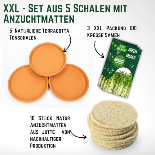 NEU! XXL Green MaGeo Kresse Anzuchtset - 5 Kresse Anzuchtschalen mit 10 Anzuchtmatten Jutte und 3 Maxi Packungen Kressesamen, ideal für die Kresse Anzucht und als Microgreens Anzuchtset