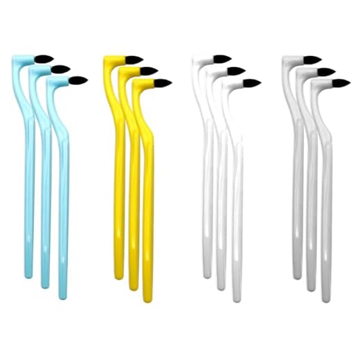 BORISCA 12 Pièces Éliminateur de Tartre, Polissage de Dents 4 Couleurs Détachant Gomme de Dents, Kit Detartrage Dentaire, Brosse Dent Soins Outil pour L'élimination de La Plaque et du Tartre