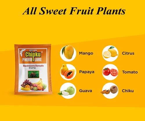 Chipku Fly Magnet Trap Useful in Mango, Papaya, Sapota, Guava, Pomegranate, Sweet Fruit (20 Trap with 20 Fruit Fly Lure) - Pack of 20