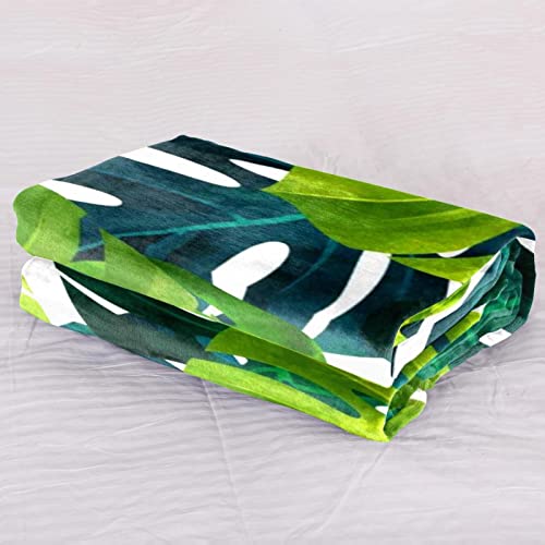 Couvre-lit Monstera de qualité supérieure couverture lit douce finitions soignées pour lit - 3