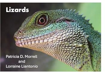 Paperback Lizards (Early Primary Science Books) Book
