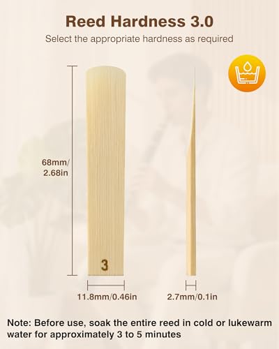 Image of New bee 10pcs Bb Clarinet Reeds Strength 3.0 Individually Packed with Reed Case, Thinner Reed Tip Advanced Cutting Technology for Clarinet Beginner and Player