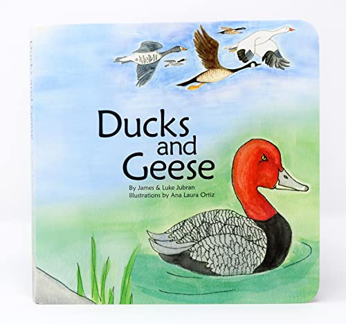Image of Ducks and Geese: Board Book, Wildlife, Animals, Conservation, Smile Outside, Children's book