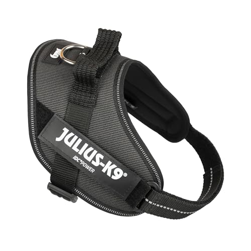 IDC Powergeschirr, S, Schwarz-Grau - Reflektierendes Hundegeschirr mit Logo-Feld, verstellbar, atmungsaktiv, Bewegungsfreiheit, Oeko-TEX Zertifiziert, für kleine, mittlere & große Hunde