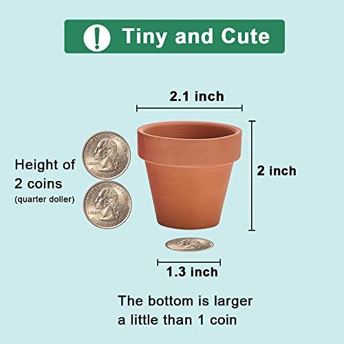 vensovo 5CM Terra Cotta Pots with Drainage - 12 Pack Clay Flower Pots, Succulent Nursery Pots Great for Plants, Crafts, Wedding Favor