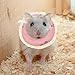 HAPINARY Pet Neck Ring Guinea Pig Cone Collar Soft Elastic Elizabethan Collar s for Post-Surgery Care