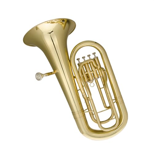 ^JbJ[dグS[h{fBBtbgtH[X^hL[[tHjAvtFbViptH[}X[tHjA