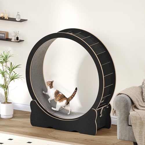 DWVO Katzenlaufrad,110cm Laufrad für Katzen mit Abnehmbaren Teppichboden Katzen Laufrad mit Schloss zur Gewichtsabnahme und Gesundheitsförderung bei...