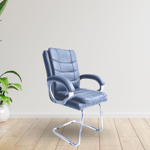 Image of activa Executive Office Visitor Chair | Ergonomic Relax Chair for Study, Home, Reception| Comfortable Cushioned Seat Back, Double Pipe Frame with Arm Rest Guest Seating (1, Grey, Star)