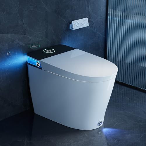 HOROW T38 Smart Bidet Toilet with Features