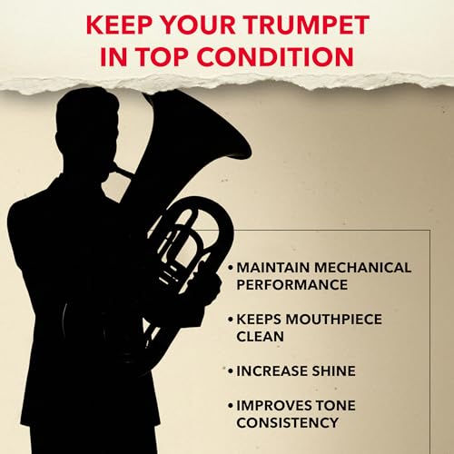 Chesbro Low Brass Care Cleaning Kit for Tuba, Euphonium, and Baritone Maintenance, Includes Instrument Valve Oil, Slide Grease, Polish Cloth, Snake Brush, Mouthpiece Cleaner and Other Brushes