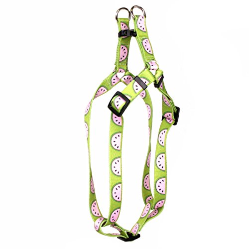 Image of Yellow Dog Design Wonderful Watermelons Step-in Dog Harness-X-Small-3 /8 and fits Chest 4.5 to 9 inch