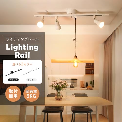 Amazon.co.jp: 共同照明: ダクトレール＆部品