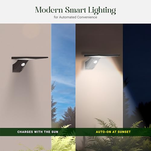 Image of Dylect Eco Solar Wall Light Outdoor Home, Solar Home Decor Light for Garden, Terrace, Patio, Upto 10Hr Runtime with Wireless Remote | IP64 Waterproof (Cool White)