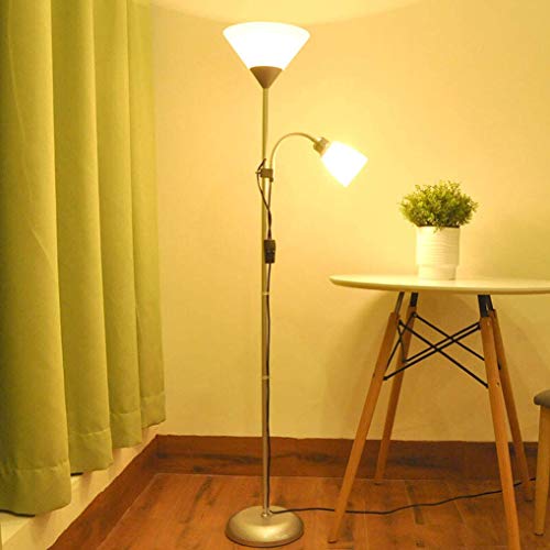 HWSY Floor Lights Reading Lamp Easy to Assemble, Double Switch, Flexible Gooseneck s Interesting
