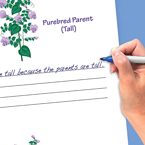 Newpath Learning - 34-6014 10 Piece Science Genetics And Heredity Curriculum Mastery Flip Chart Set, Grade 6-10 #TOP2