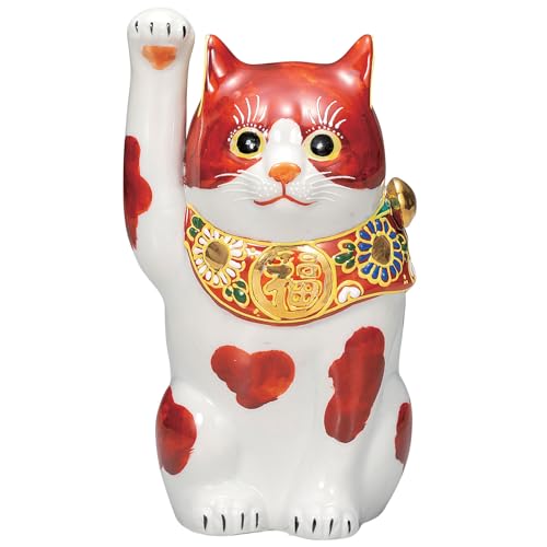 J L u  ^ E 19.5cm 6 ԃu` K9-1635